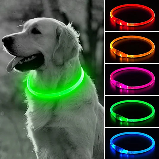 USB LED Dog Collar: Glowing Safety for Pets - Pet Cargo Express